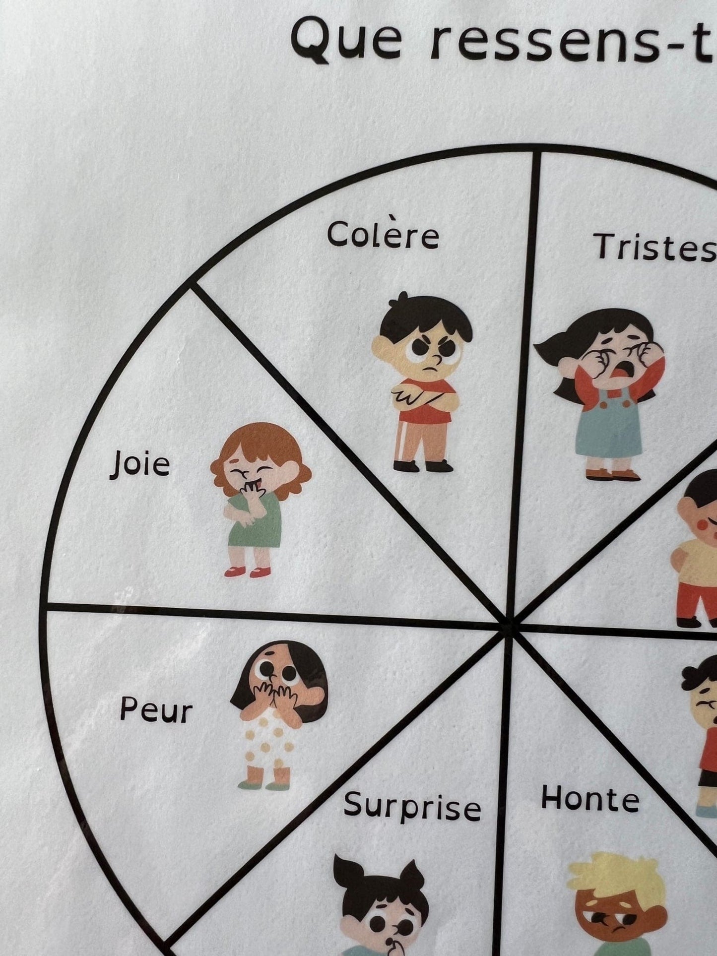 La roue des 8 émotions (format plastifié)