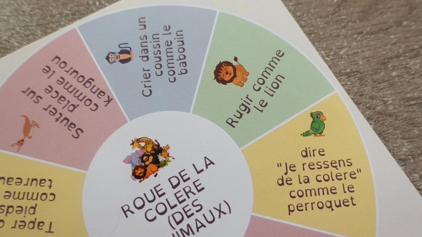 Roue des choix pour évacuer la colère et les tensions (version papier)