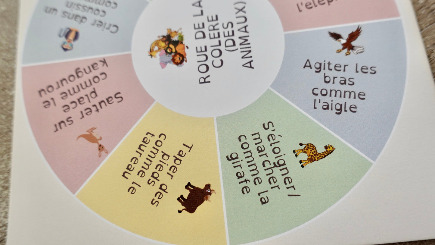 Roue des choix pour évacuer la colère et les tensions (version papier)