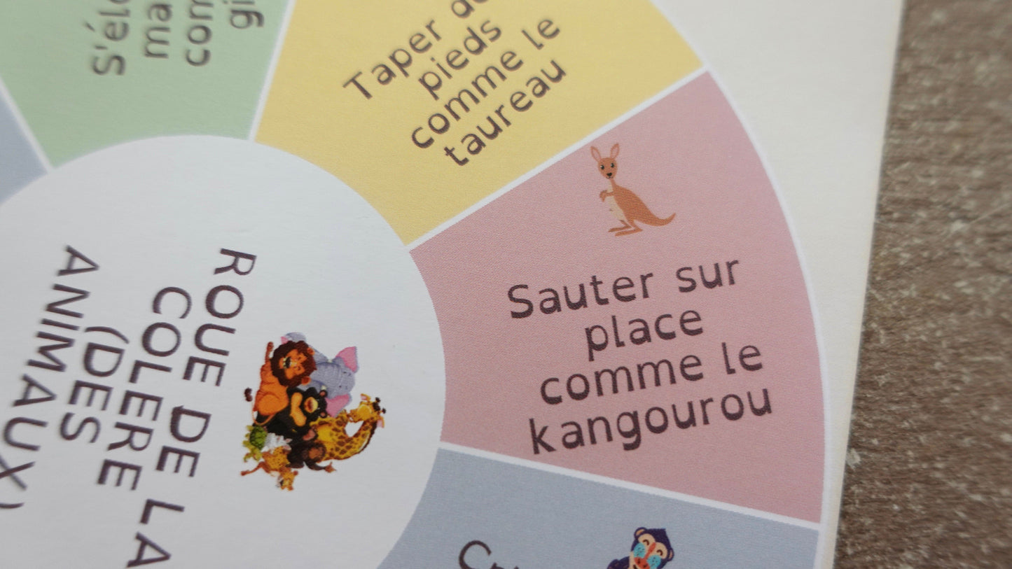 Roue des choix pour évacuer la colère et les tensions (version papier)
