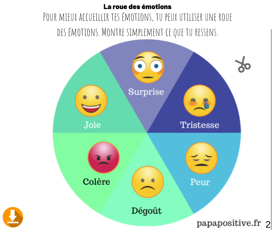 Le petit cahier des émotions