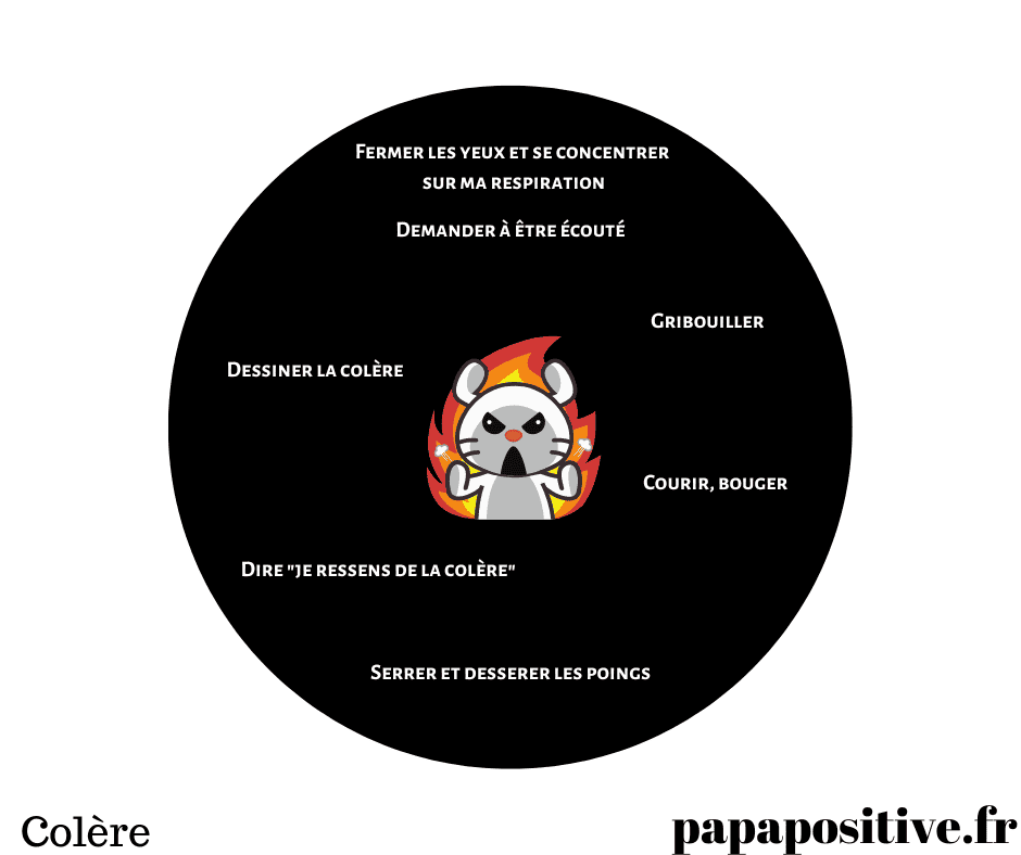 4 cercles des émotions