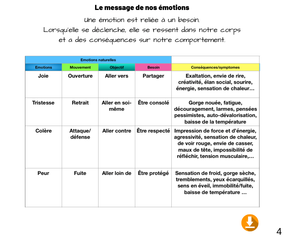 Le petit cahier des émotions