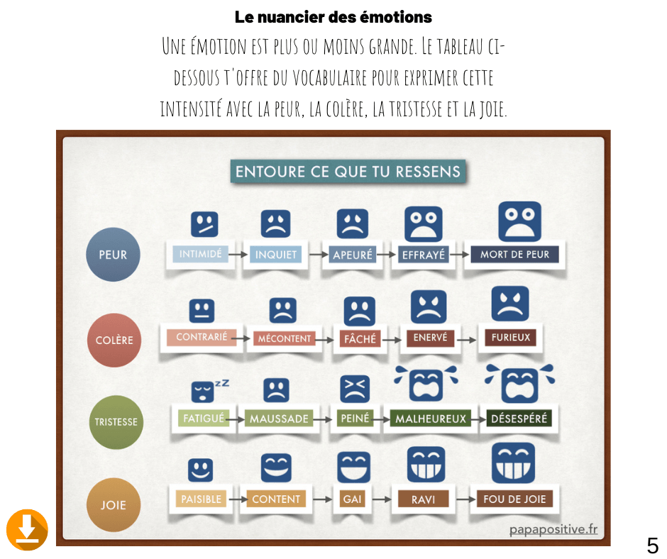 Le petit cahier des émotions