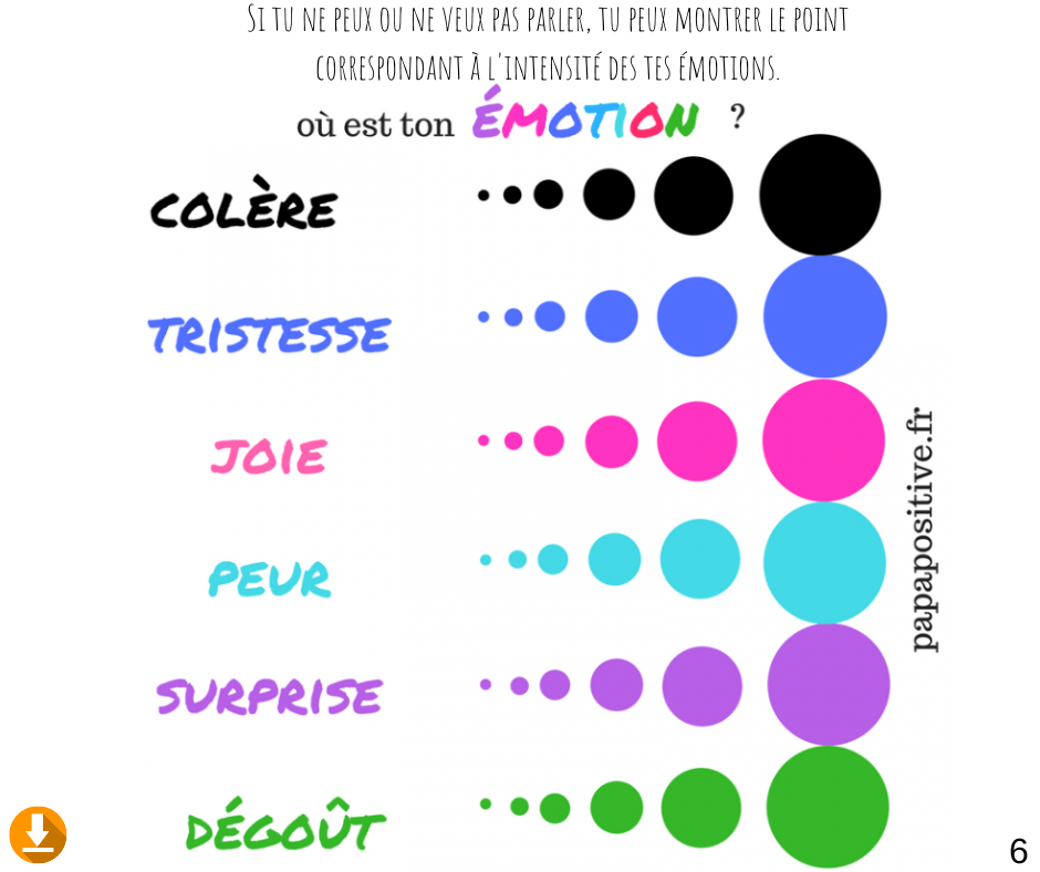 Le petit cahier des émotions