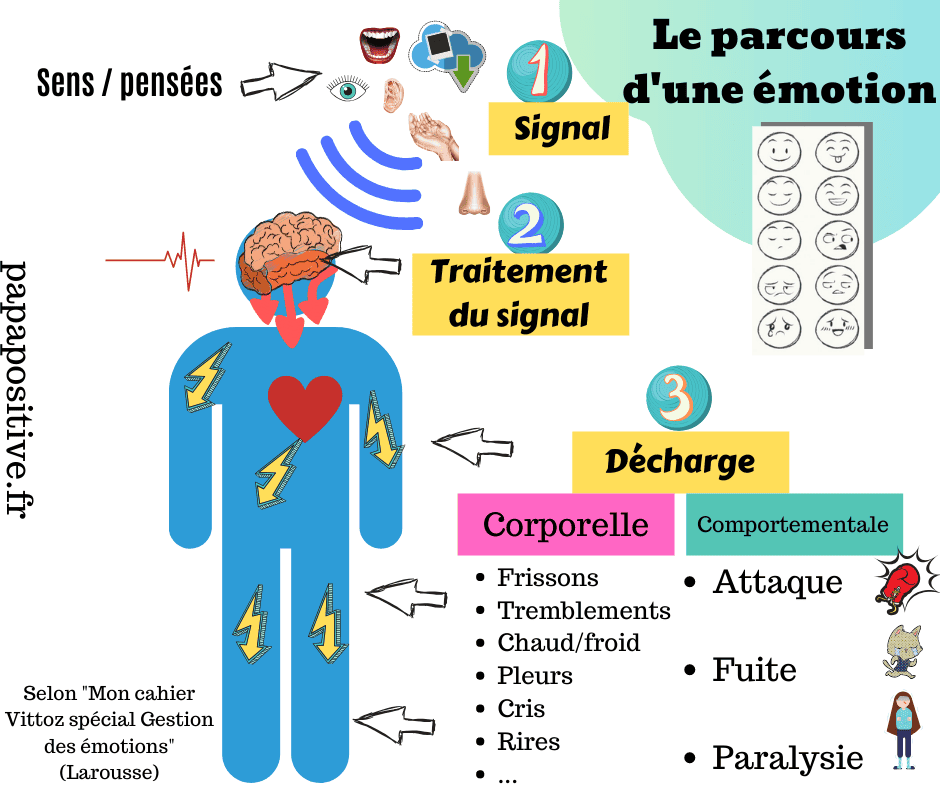 Un schéma pour comprendre le schéma des émotions