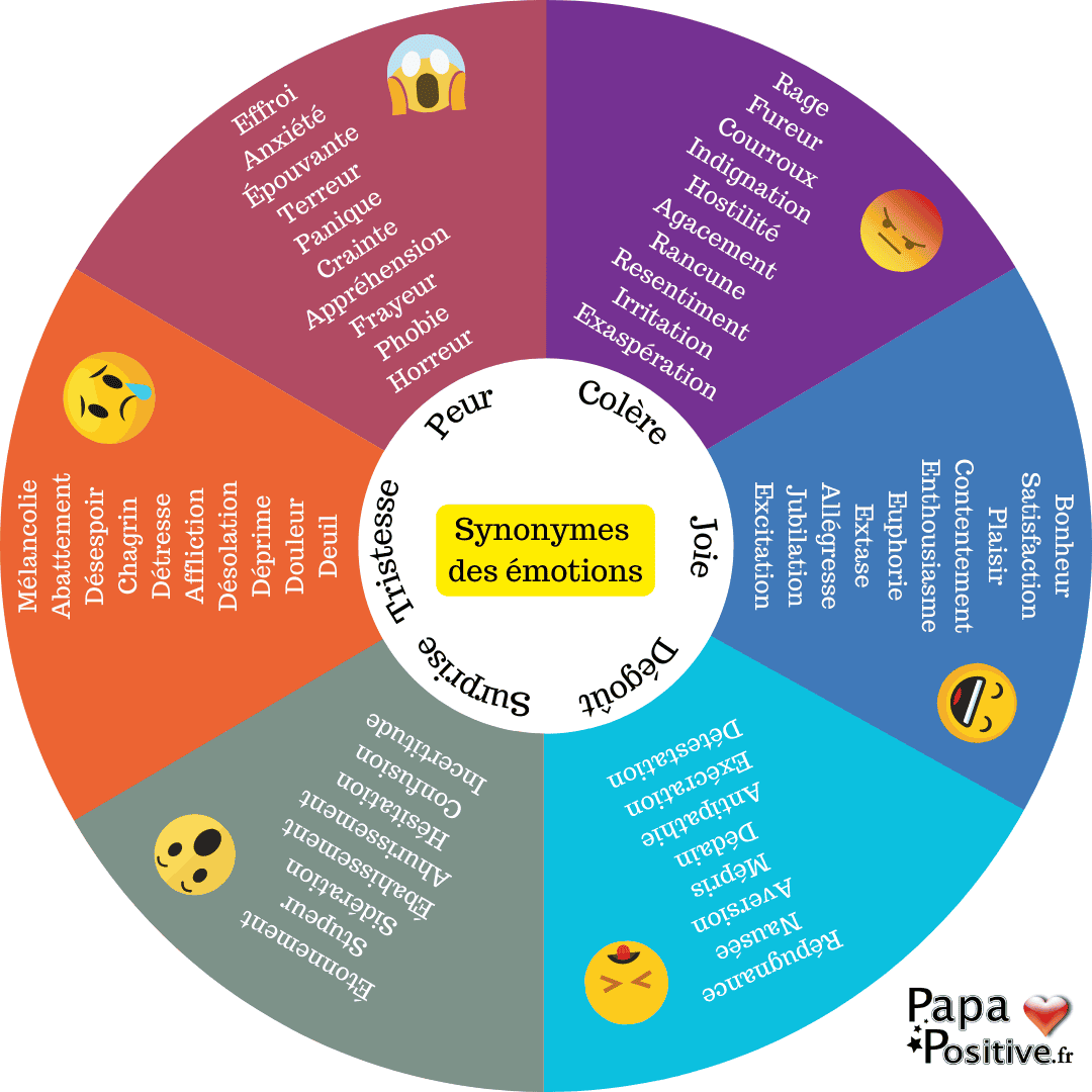 La roue des synonymes des émotions