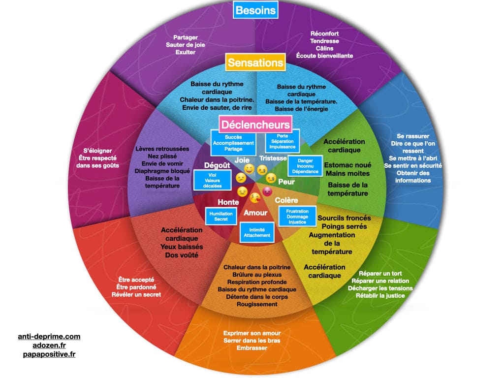 La roue des émotions et des besoins
