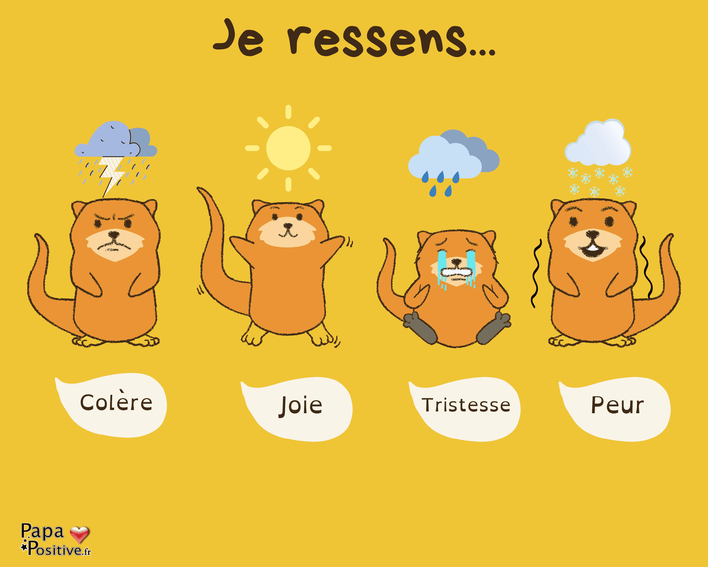Les émotions de loutre