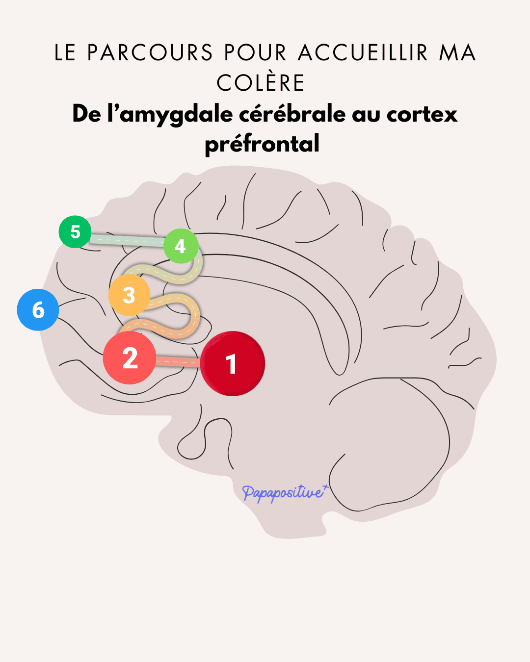 Un outil de régulation émotionnelle basé sur le cerveau
