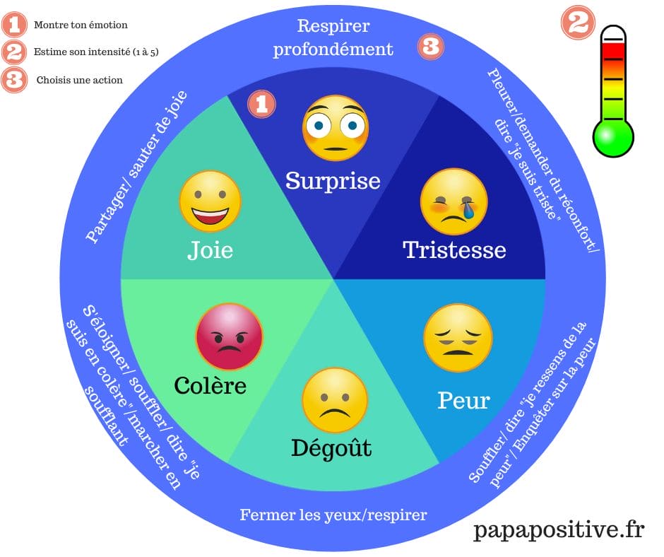 Roue des émotions