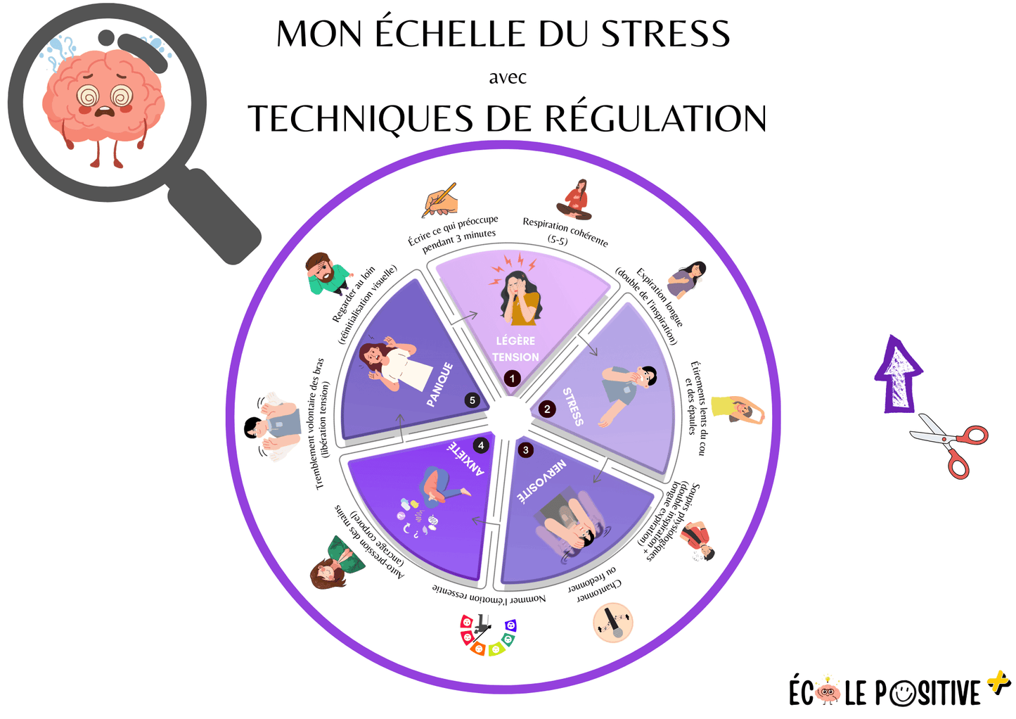 La roue pour réguler le stress (enfant et adulte)