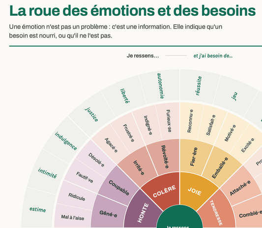 La roue des émotions et des besoins (14-18 ans)