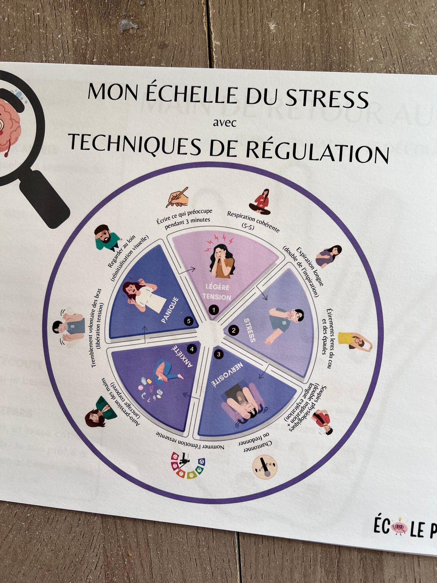 Mon échelle du bien-être TSA + main de retour au calme + roue du stress (kit régulation 3 outils)