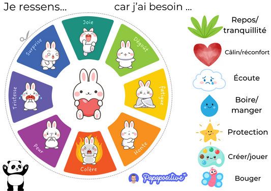 La roue des émotions et des besoins