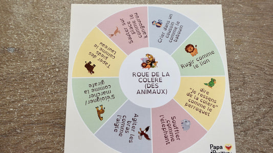 Roue des choix pour évacuer la colère et les tensions (version papier)