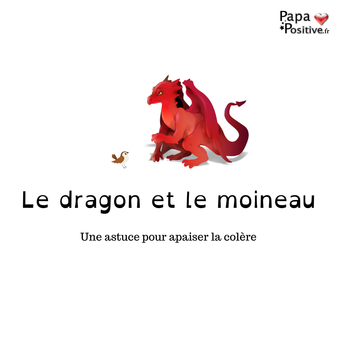 Ebook : le dragon et le moineau