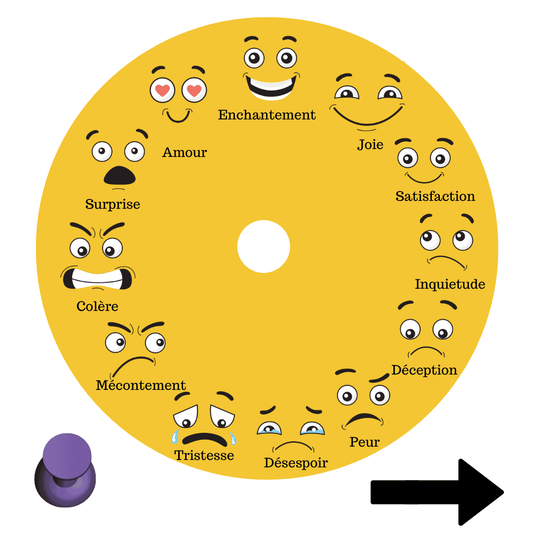 La roue des émotions