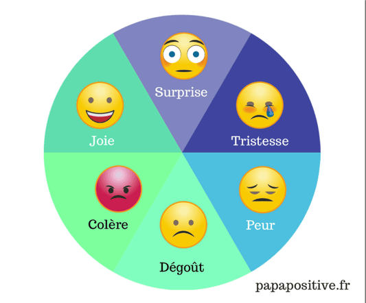 Roue des émotions