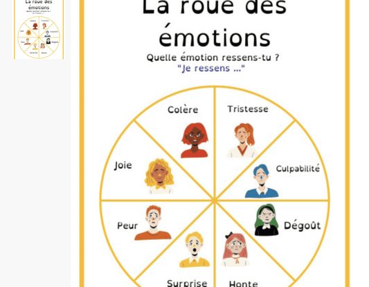 Roue des 8 émotions pour ado et adulte